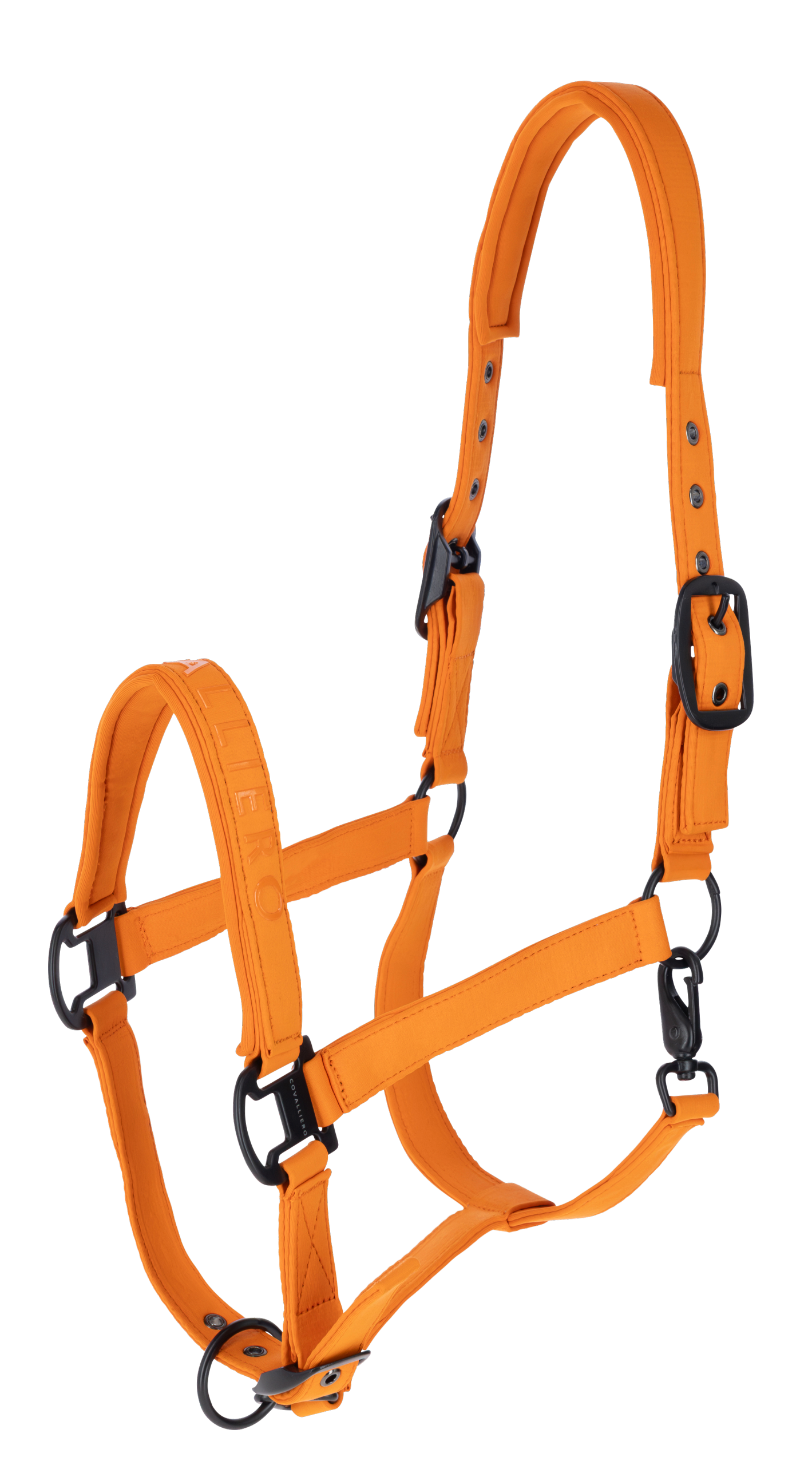 Covalliero Kantar, A/W 2026, orange